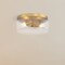 Designers Fountain Rose Marie 13 in. 2-Light Brushed Gold Mid-Century Modern Semi Flush Mount with Rippled Glass Shade D323M-FM-BG - alternate 5